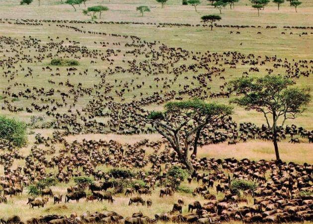 tanzaniatourism.go.tz