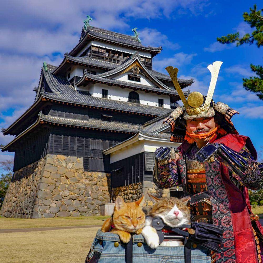 instagram.com/the.traveling.cats