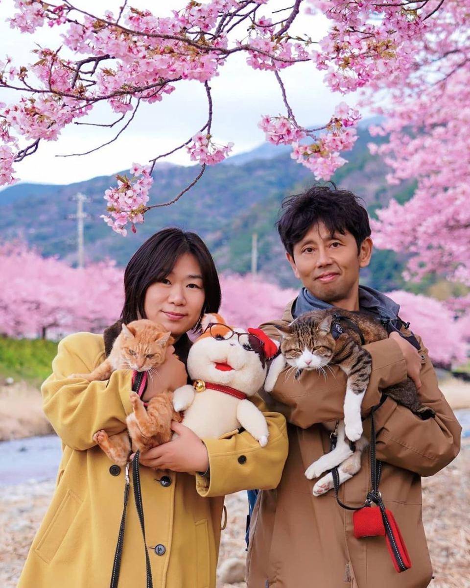 instagram.com/the.traveling.cats