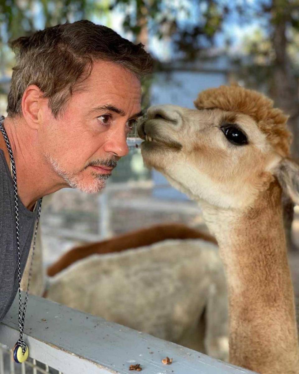 instagram.com/robertdowneyjr