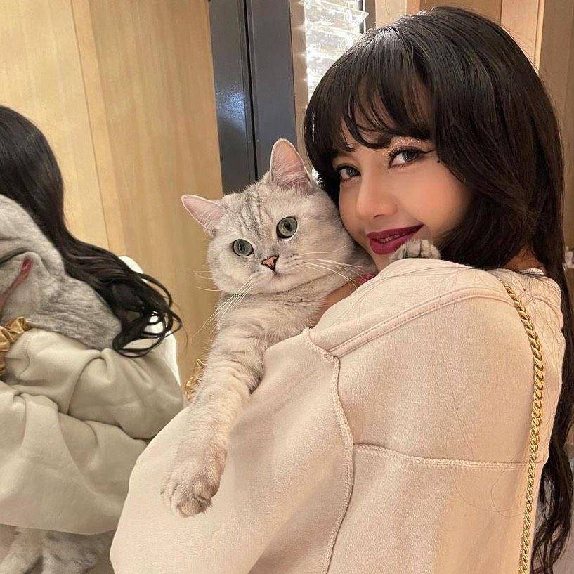 Instagram.com/lalalalisa_m