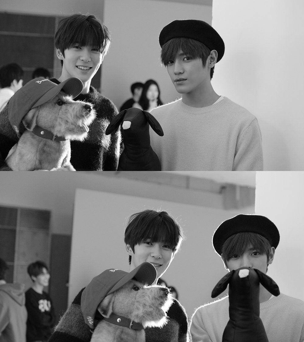 twitter.com/smrookies