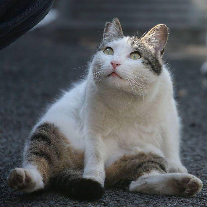 instagram.com/okirakuoki