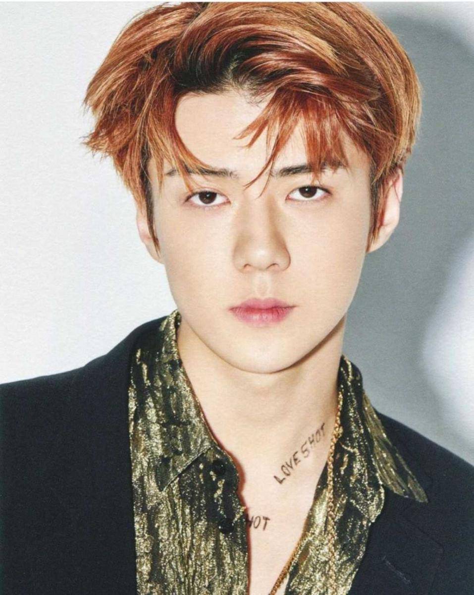 instagram.com/ohsehunlife