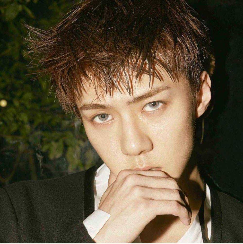 instagram.com/ohsehunlife