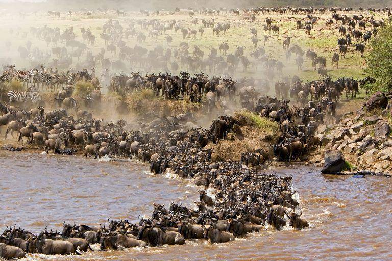visitafrica.net