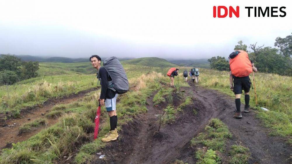 Para pendaki di Taman Nasional Gunung Rinjani  IDN Times/Ahmad Viqi