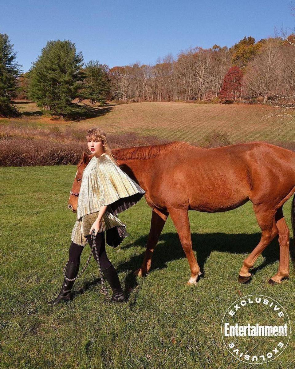 instagram.com/taylornation