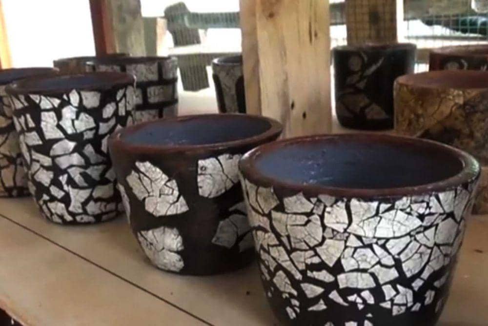 Pot bunga yang dihiasi cangkang telur. Dok. IDN Times/Ist