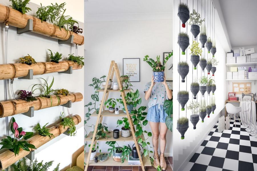 10 Inspirasi Vertical Garden yang Cocok untuk Rumah Mungil