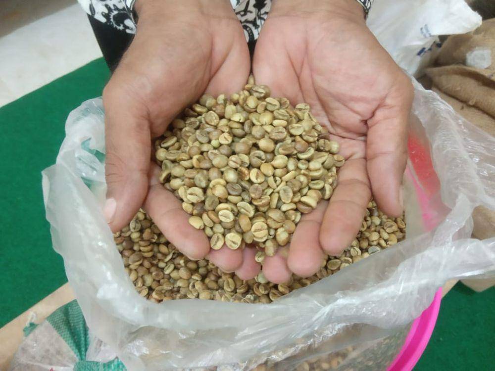 Kopi hasil fermentasi wine di Kalibaru. IDN Times /Mohamad Ulil Albab