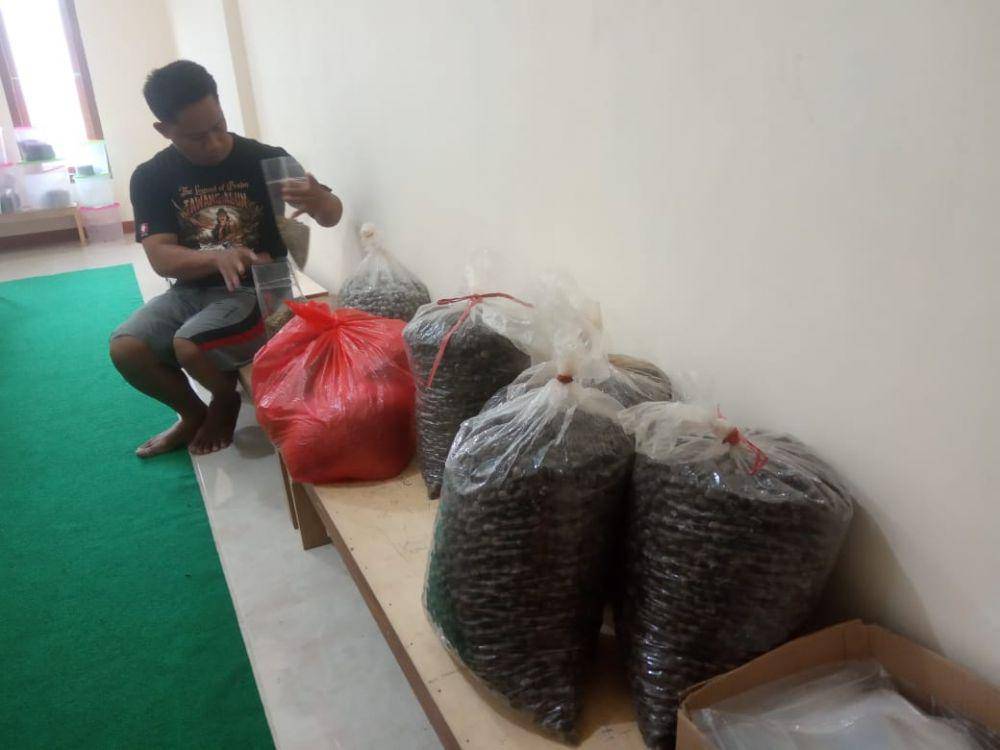 Kopi hasil fermentasi wine di Kalibaru. IDN Times /Mohamad Ulil Albab