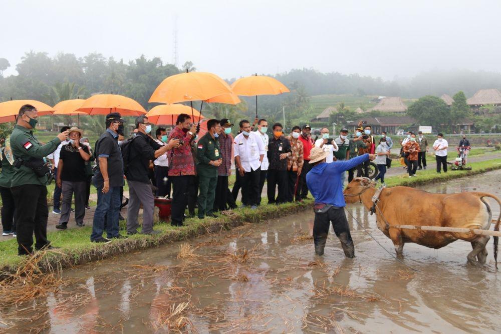 Menteri Pertanian Dorong Mina Padi di Jatiluwih, Warga Terkendala Air