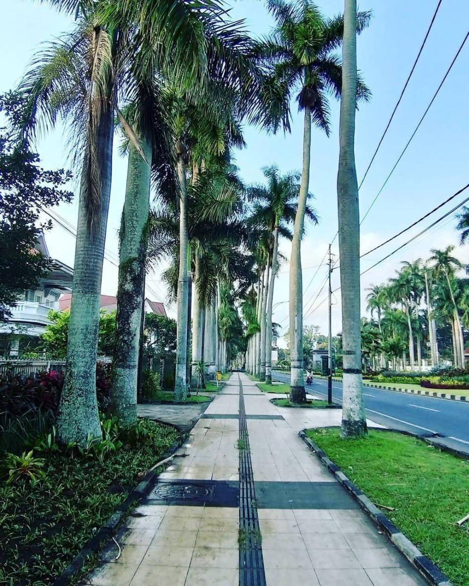 instagram.com/liemjiangyoung
