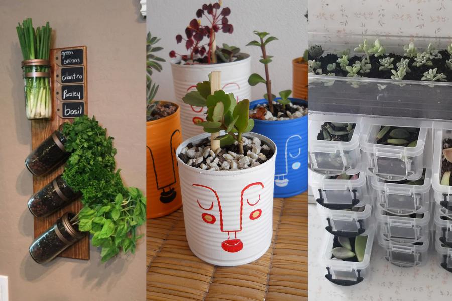 10 Inspirasi Dekorasi Kebun Mini di Kosan, Unik dan Hemat Tempat