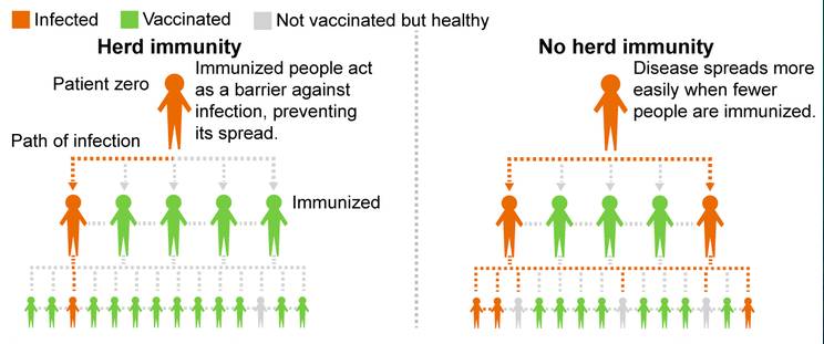 Ilustrasi herd immunity. commons.wikimedia.org/Mmmkayshea