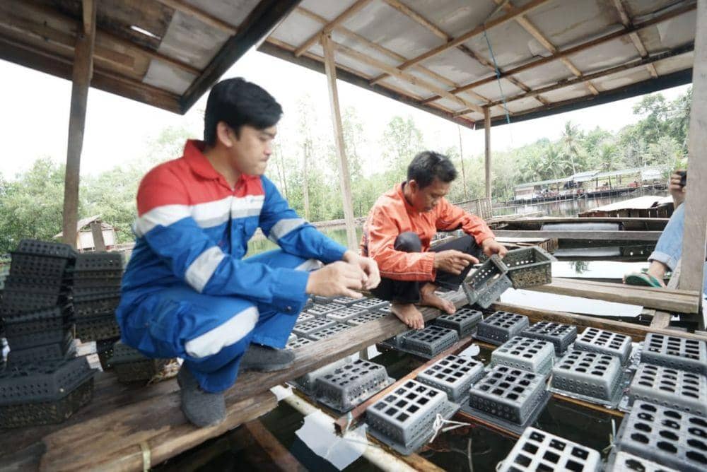 IT Balikpapan Pertamina. Dok: Pertamina