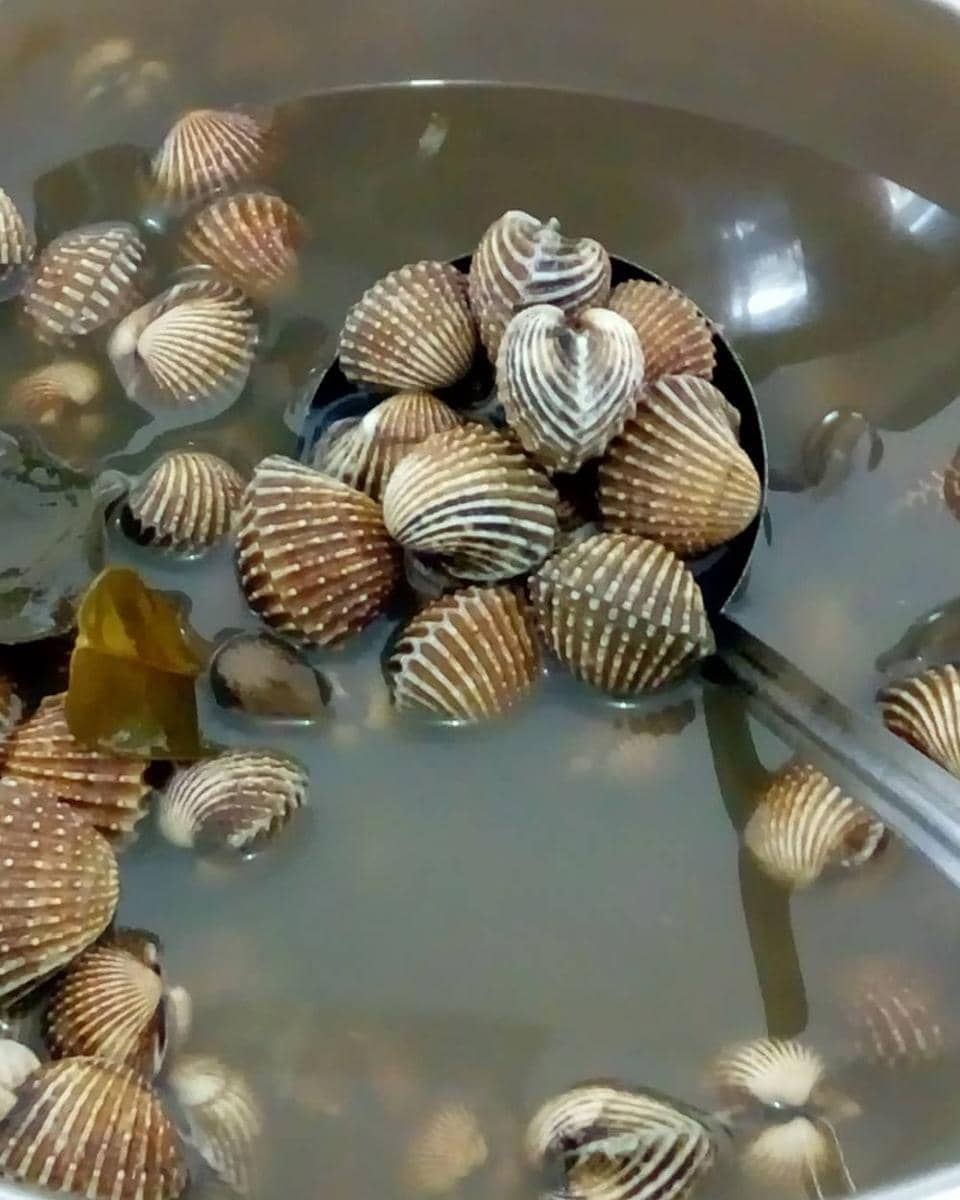 instagram.com/warungtudaibpn