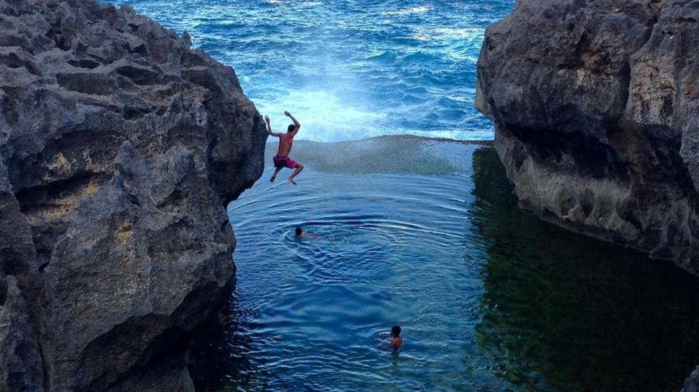 Instagram.com/natdonat