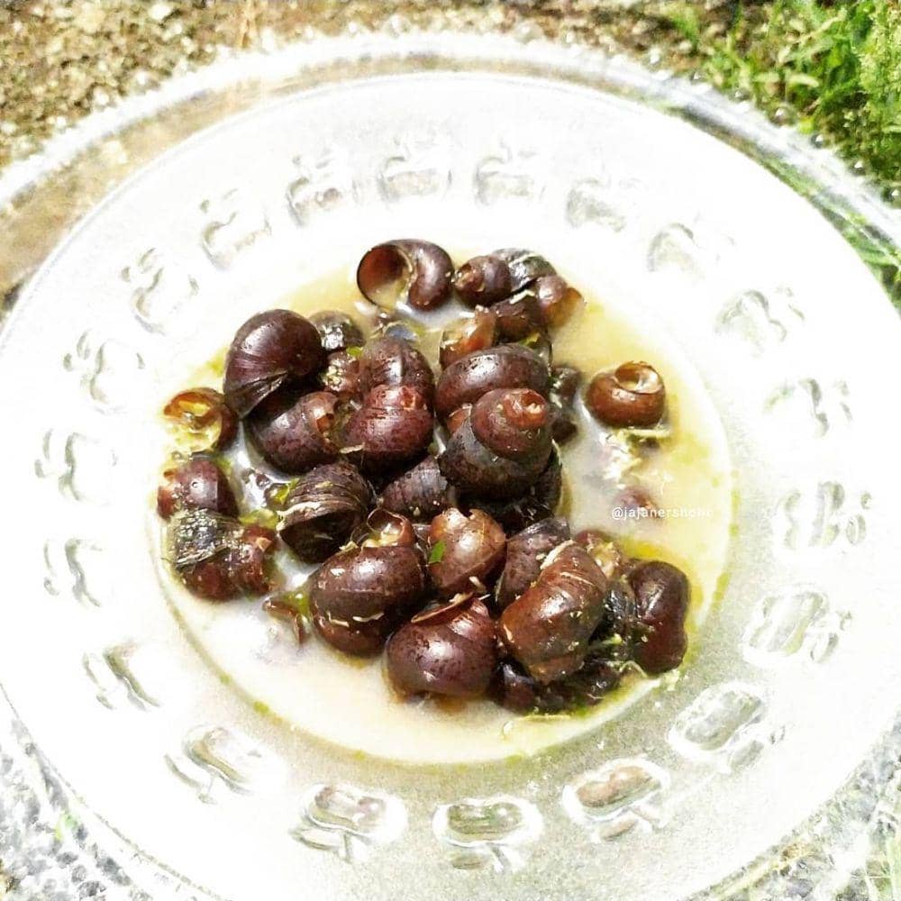 instagram.com/ jajanersholic