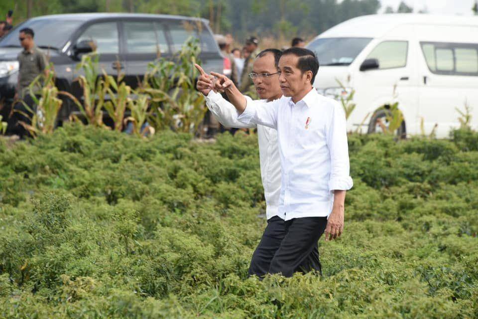 Dosmar saat bersama Presiden Joko Widodo (Facebook Dosmar Banjarnahor)