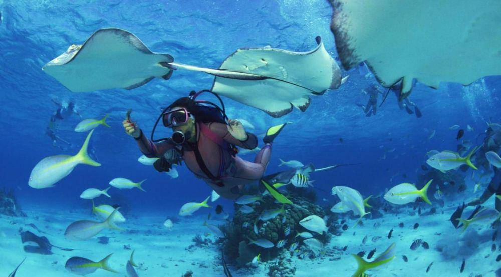 indonesiatravelandtourism.wordpress.com