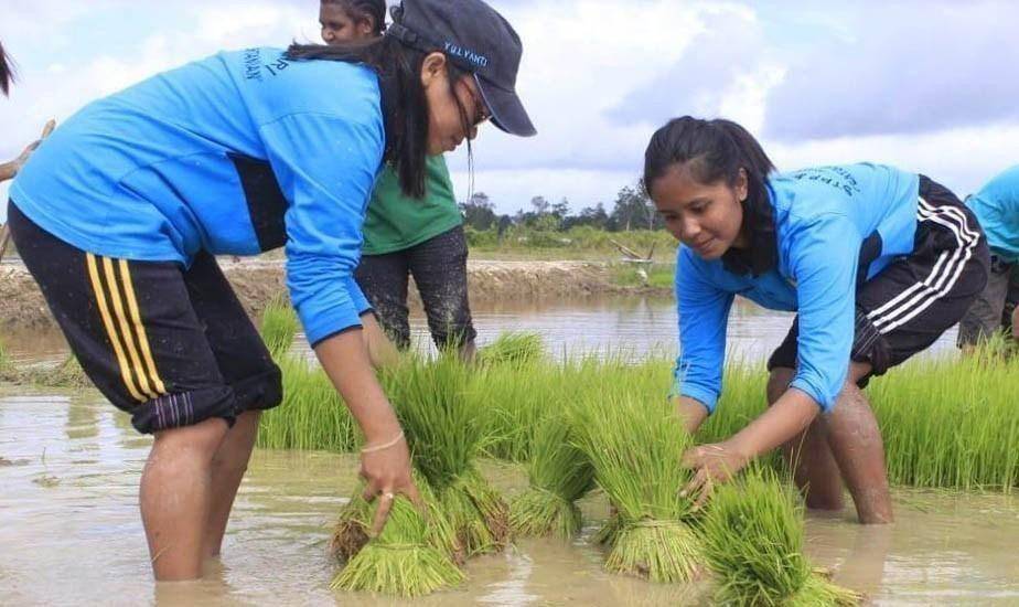 Dok. Kementan