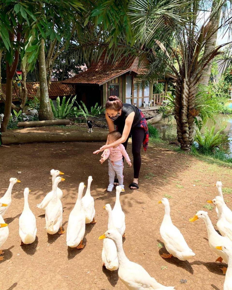 instagram.com/aurakasih