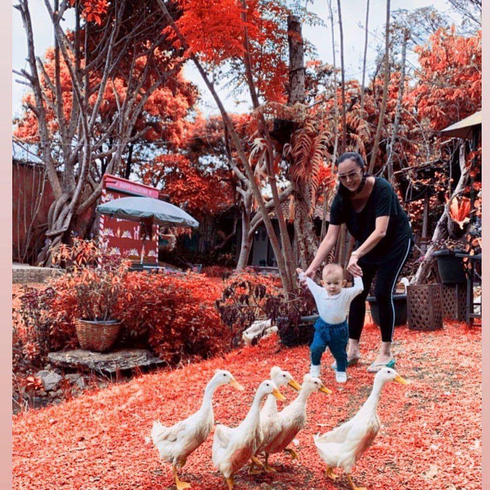 instagram.com/aurakasih
