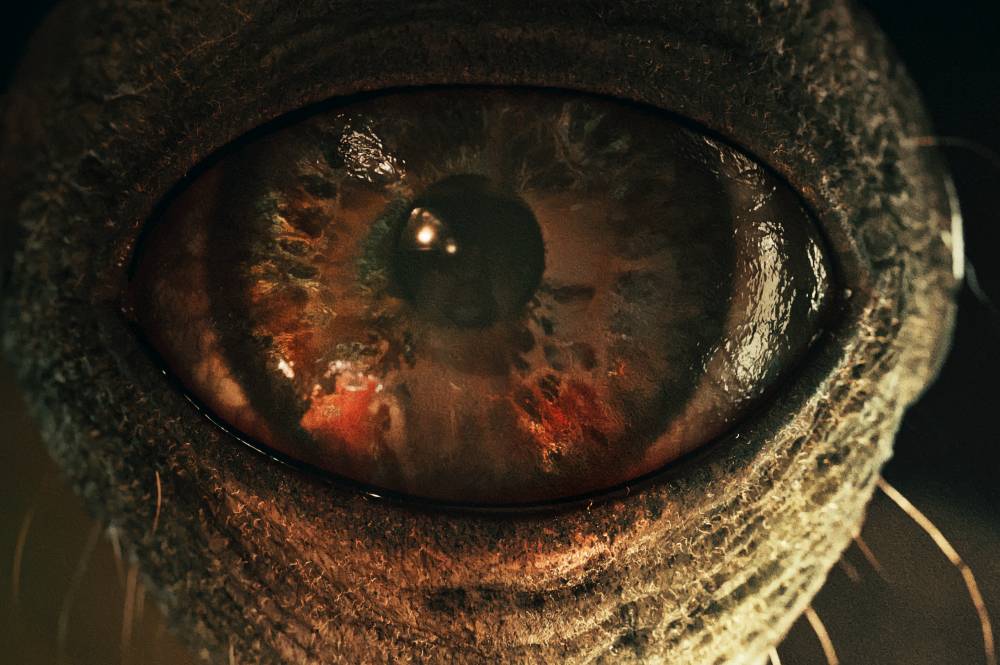 Monster Sweet Home (dok. Netflix)