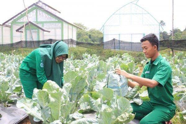 Dok. Kementan