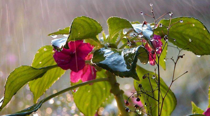 blog.primrose.co.uk