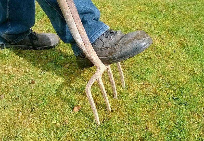 greenmountainturf.com