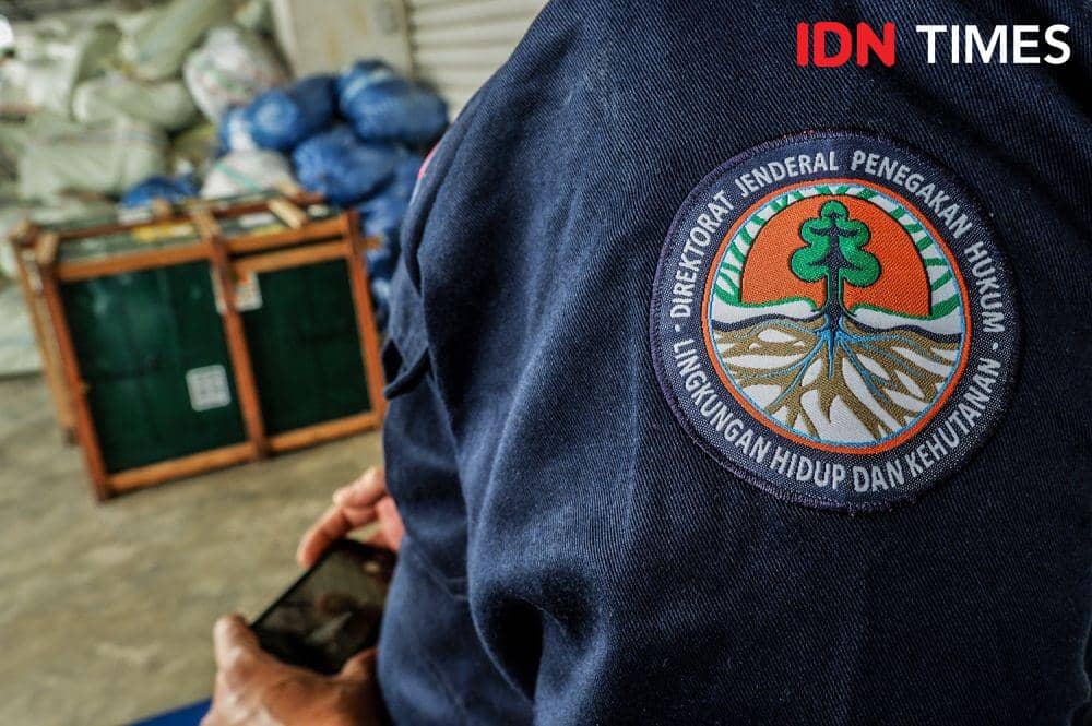 Petugas Gakkum dari KLHK memantau proses pemindahan kargo Orangutan repatriasi dari Malaysia, Jumat (18/12/2020). (IDN Times/Prayugo Utomo)
