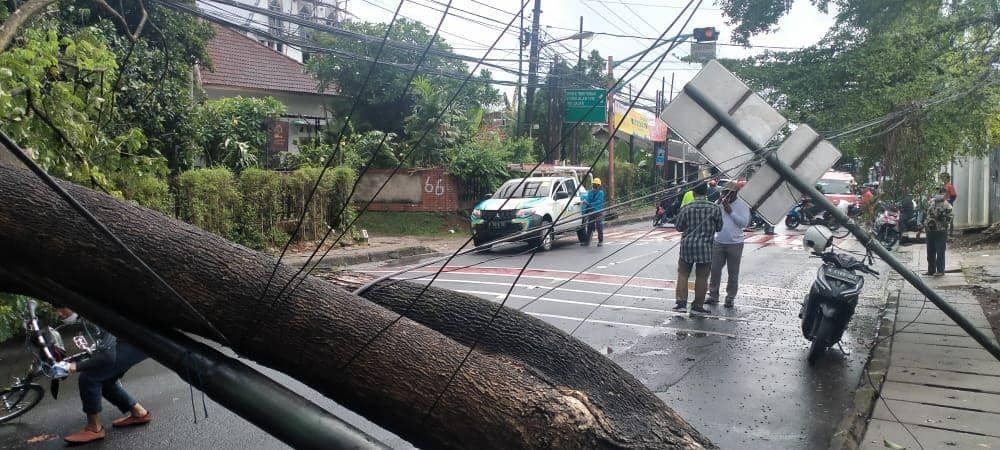 Pohon Tumbang di Depok Putuskan Akses Jalan Raya Siliwangi