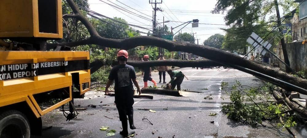 DLHK Kota Depok tengah melakukan pemangkasan pohon tumbang di Jalan Raya Siliwangi, Kecamatan Pancoranmas. (IDNTimes/Dicky)