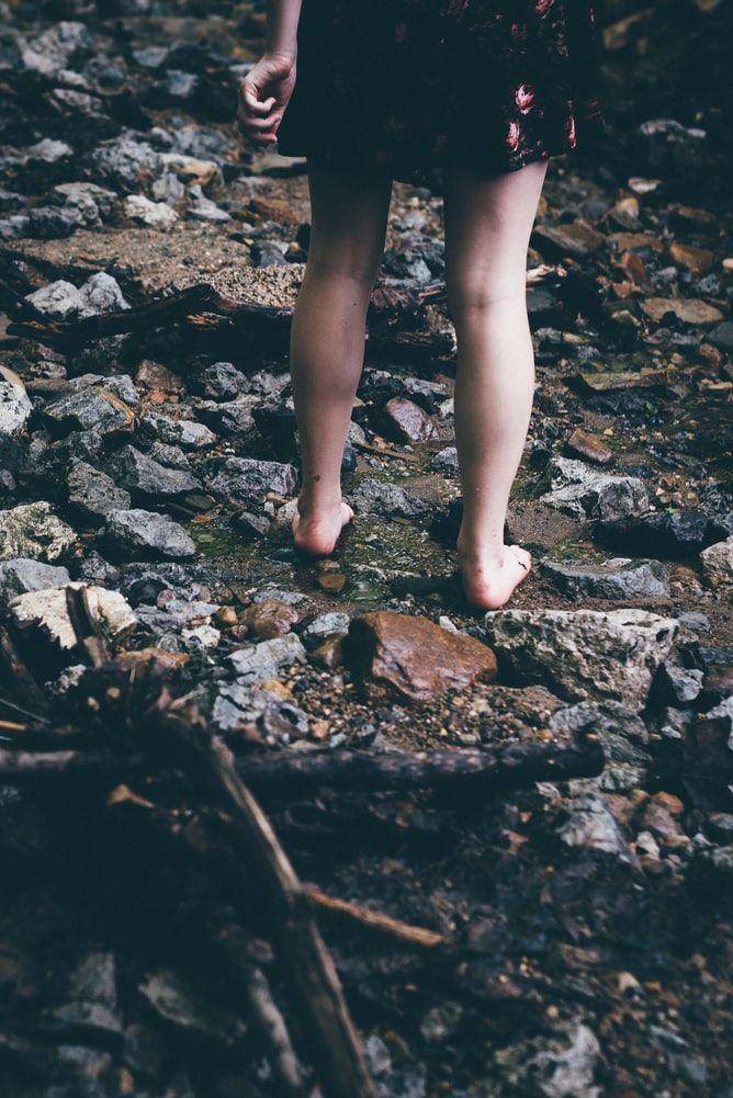 Unsplash.com/Jordan Whitt
