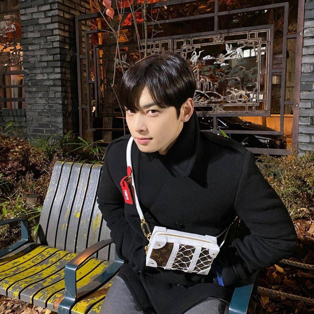 Cha Eun Woo (instagram.com/eunwo.o_c)
