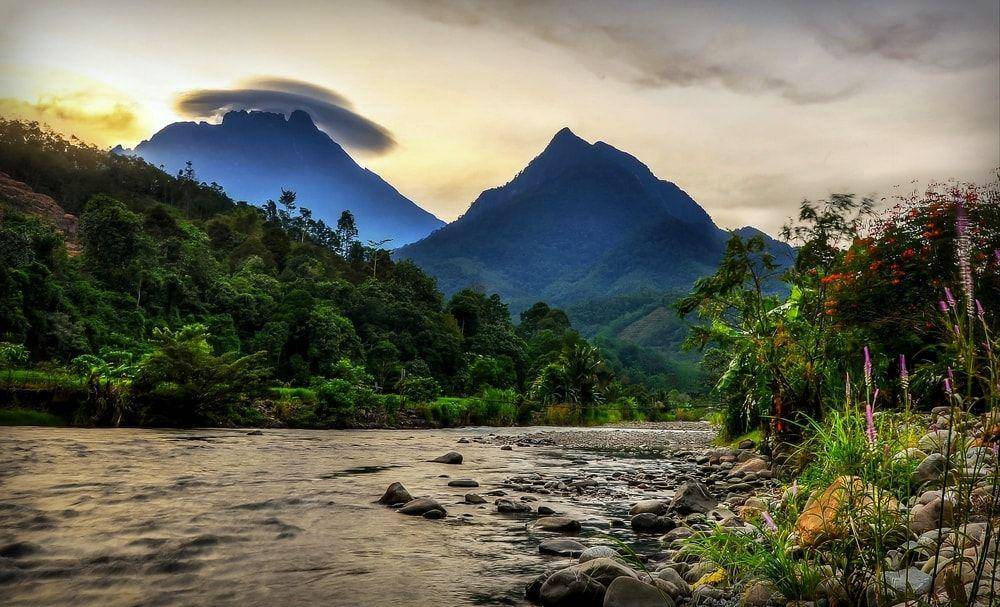 theculturetrip.com