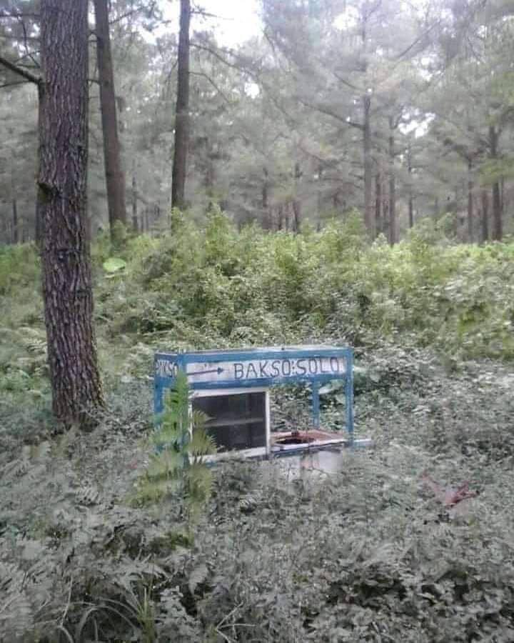 facebook.com/Faris Hasan