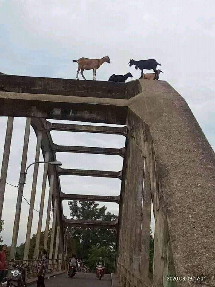 facebook.com/Muhamad Riski