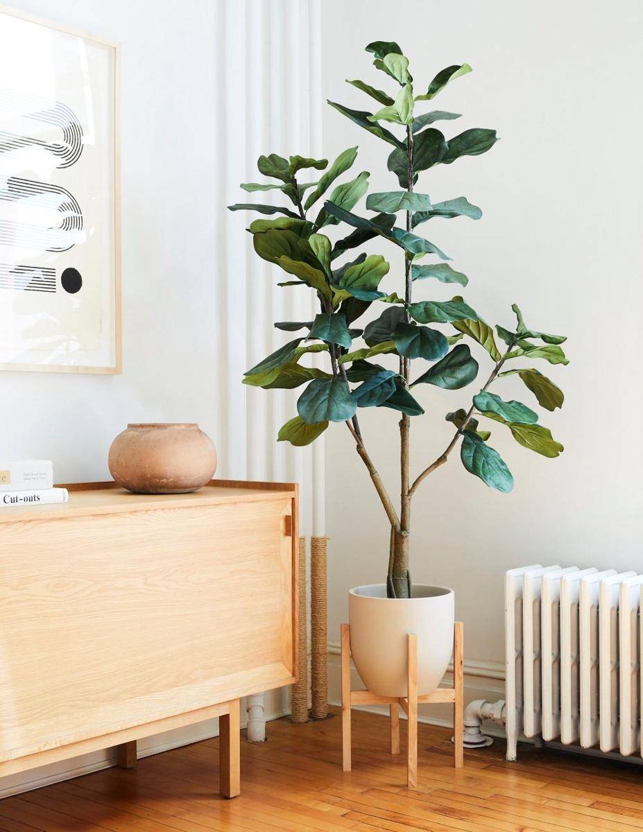 thesill.com