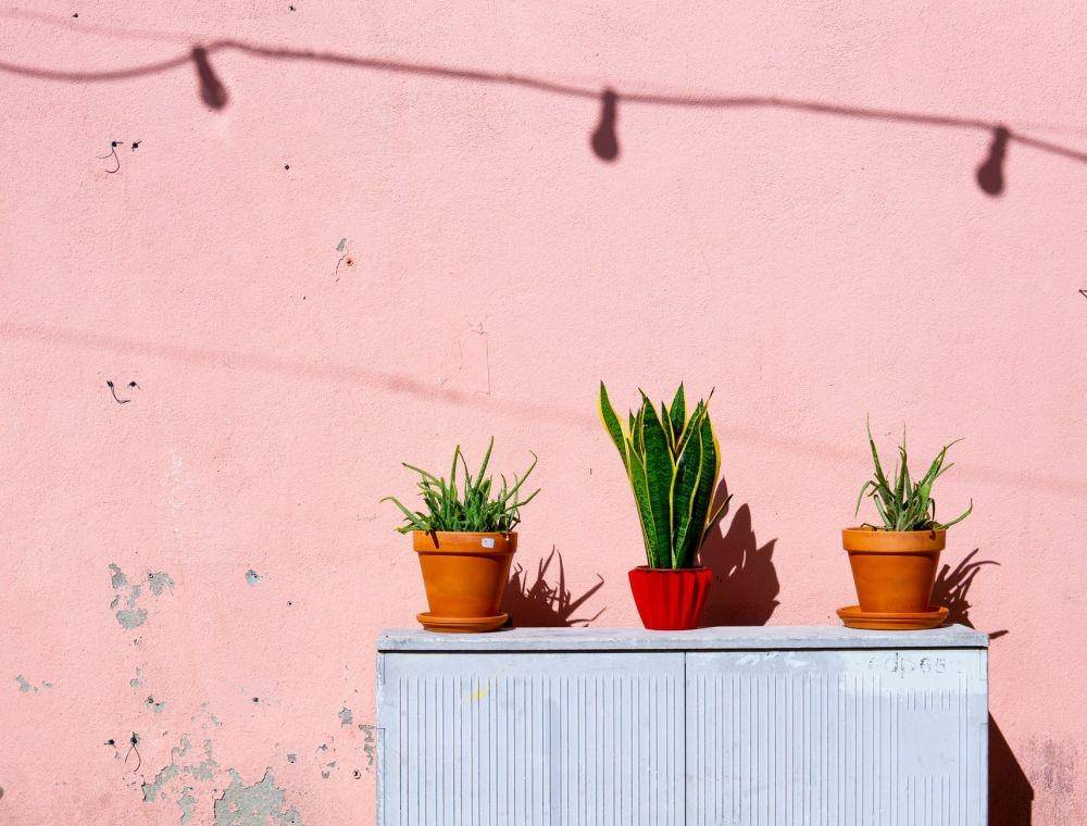 pexels.com/Elle Hughes