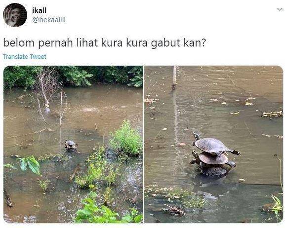 Twitter.com/hekaallll