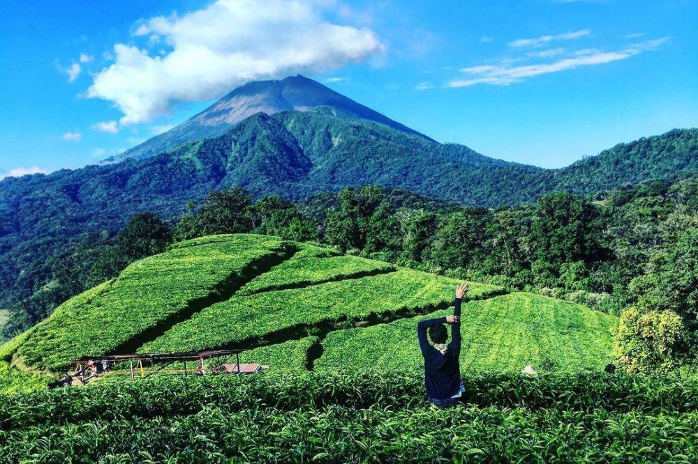 7 Rekomendasi Objek Wisata di Kaki Gunung Slamet, Bikin Adem!
