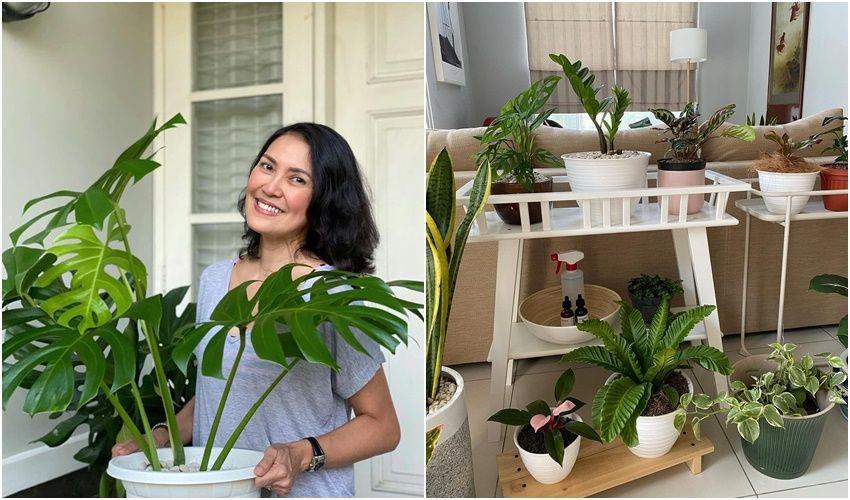 Ide Koleksi Tanaman ala Becky Tumewu untuk Area Ruang Tamu dan Outdoor