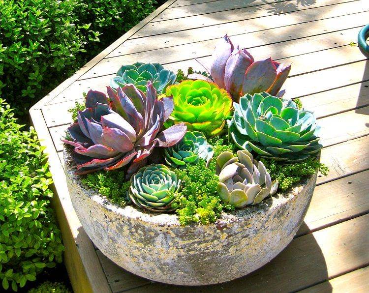 balconygardenweb.com
