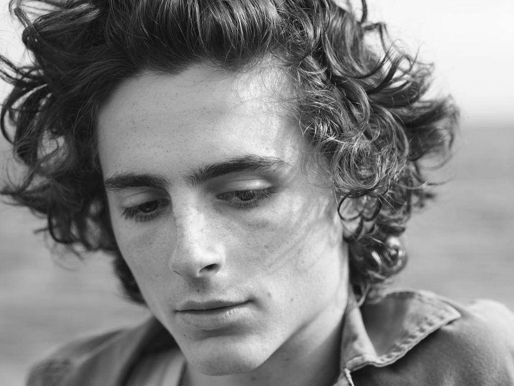 instagram.com/tchalamet