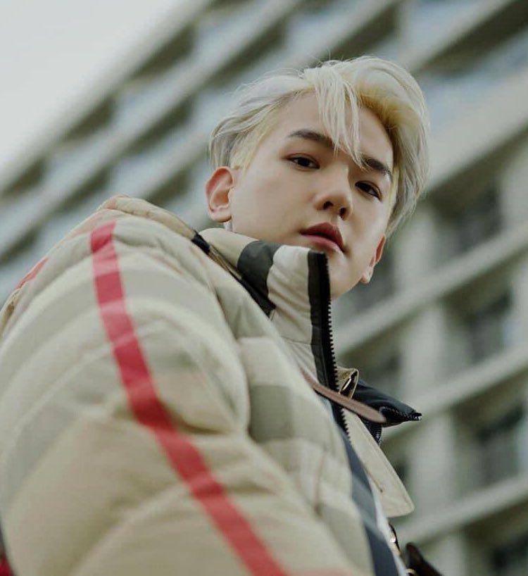 twitter.com/ibaekrauhls