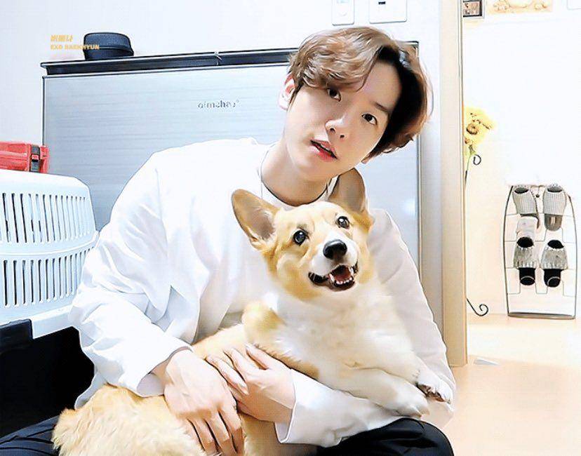 twitter.com/ibaekrauhls